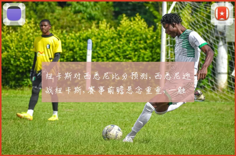纽卡斯对西悉尼比分预测,西悉尼迎战纽卡斯,赛事前瞻悬念重重,一触即发