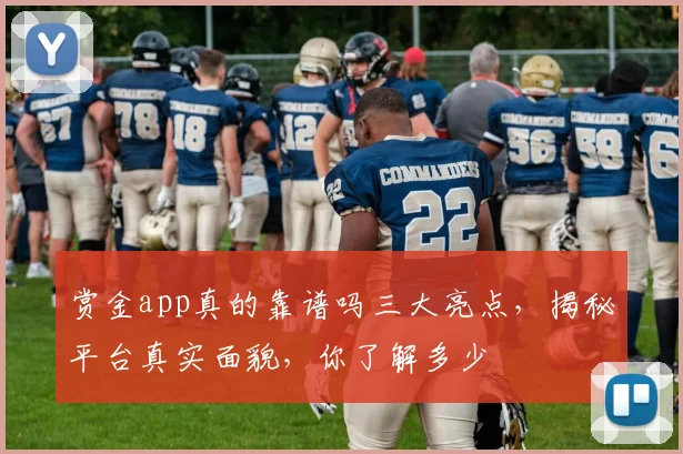 赏金app真的靠谱吗三大亮点，揭秘平台真实面貌，你了解多少
