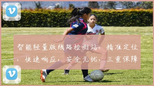 智能轻量版线路检测站,精准定位,快速响应,安全无忧,三重保障,值得信赖。